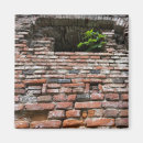 Search for fortress magnets Wall
