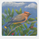 Search for cedar stickers Nature