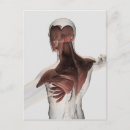 Search for spine postcards Anatomy