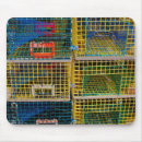 Search for traps mouse mats Maine