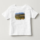 Search for nf clothing Forest