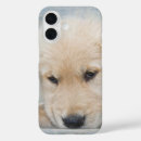 Search for golden retriever puppy iphone cases Canine
