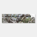 Search for roots bumper stickers Tree