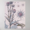 Search for thistle posters Floral