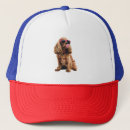 Search for cocker spaniel hats Weimaraner