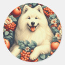Search for samoyed stickers Cute