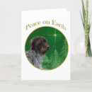 Search for pointer dog cards Wirehaired