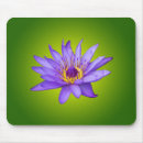 Search for aquatic mouse mats Nature