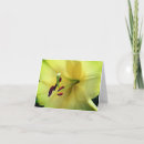 Search for pale photography Floral