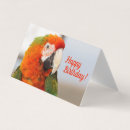 Search for macaw birthday cards Bird