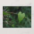 Search for sweet heart postcards Leaves
