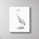 Search for heron canvas prints Great blue heron