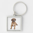 Search for rhodesian ridgeback dog key rings Puppies