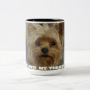 Search for yorkshire terrier puppy mugs Puppies