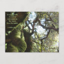 Search for oaks postcards Woodland