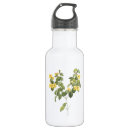 Search for flat drinkware Botanical