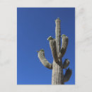 Search for four vertical postcards Travel