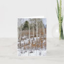 Search for birch trees christmas cards Snow