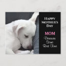 Search for dog sleeping postcards Black