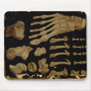 Search for foot mouse mats Feet