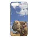 Search for camel iphone cases Egypt