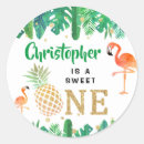 Search for birthday luau stickers Summer