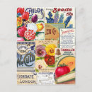 Search for vintage seed packets postcards Floral