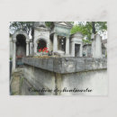 Search for finding postcards Cat