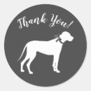 Search for great dane stickers Silhouette