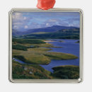 Search for wind christmas tree decorations Nature