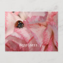Search for beetles horizontal postcards Flower