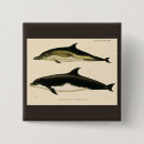 Search for mammal badges Aquatic