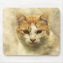 Search for orange kitty cat mouse mats Watercolor