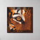 Search for bengal canvas prints Tigers