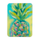 Search for pineapples magnets Fruit