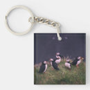 Search for puffin key rings Wildlife