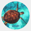 Search for sea life stickers Beach