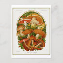 Search for horticultural vertical postcards Vintage