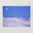 Search for above postcards Forest