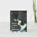 Search for cat sleepover invitations Children