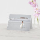 Search for swans christmas cards Winter