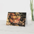Search for frog fathers day cards Animal