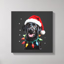 Search for funny animal canvas prints Puppy