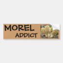 Search for delicious bumper stickers Food