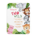 Search for two wild birthday Zebra