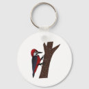 Search for talon key rings Bird
