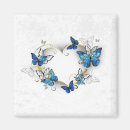 Search for butterfly magnets Butterflies