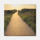Search for walkway magnets Ocean