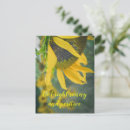 Search for the joyful postcards For her