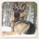 Search for german shepherd coasters Animal